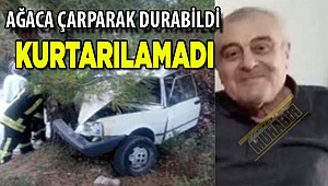 Otomobil ağaca çarptı: 1 ölü, 1 yaralı