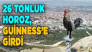 Guinness Rekorlar Kitabı'na girdi