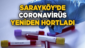 Sarayköy ilçesinde bugün yeni bir pozitif vaka daha kaydedildiği öğrenildi.