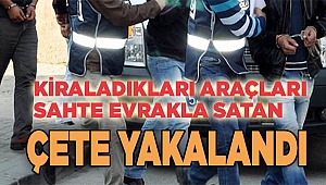 Denizli merkezli üç ilde suç örgütüne yönelik operasyonda 4 şüpheli tutuklandı