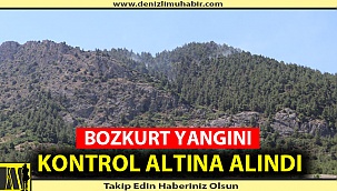 Yangında Kundaklama Şüphesi