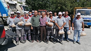 Bozkurt'ta 'Tarım Projesi' ilk meyvelerini verdi