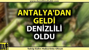 Denizli ve çevre illerin ihtiyacını karşılayacak