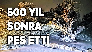 500 yıl sonra pes etti