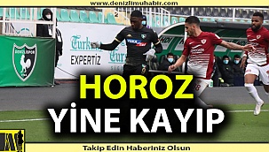 Denizlispor kendi evinde yine kayıp