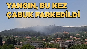 2 hektarlık orman alanı kül oldu