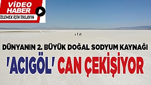 Dünyanın 2. büyük doğal sodyum kaynağı 'Acıgöl' can çekişiyor