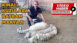 Kınalı kuzulara bayram makyajı
