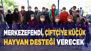 Fide desteğinin ardından kadın üreticilere küçükbaş hayvan desteği verilecek