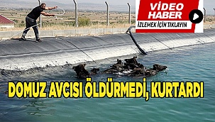 ÜNLÜ DOMUZ AVCISI YİNE KURTARDI!