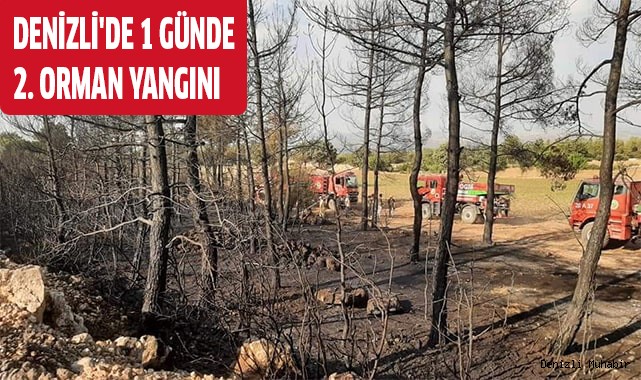 Denizli'de 1 günde  2. orman yangını