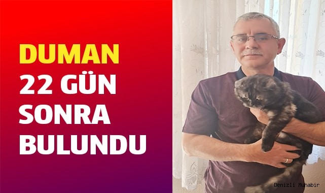 Firari kedi 22 gün sonra bulundu