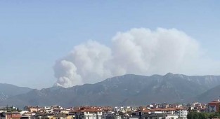 Denizli Valilği'nden Tavas'taki yangınla ilgili açıklama
