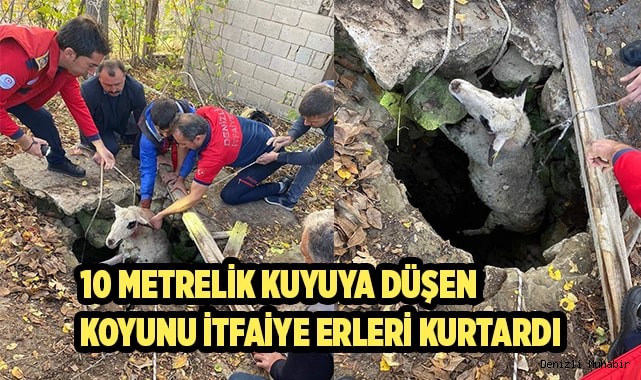 10 metrelik kuyuya düşen koyunu itfaiye erleri kurtardı