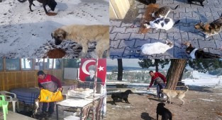 Buldan Belediyesi ekipleri sokak hayvanlarını besledi