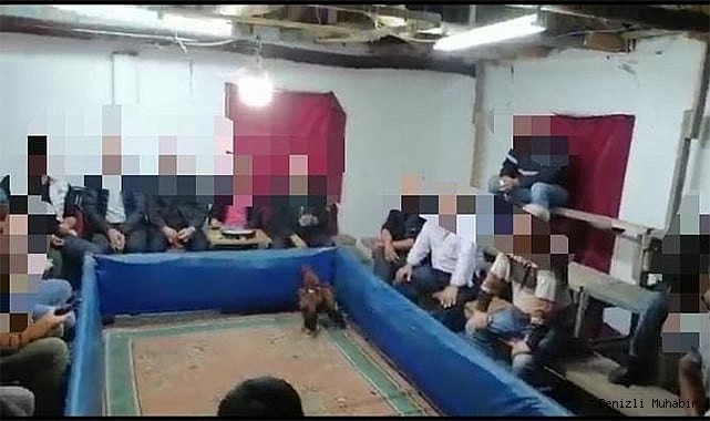 Cinayetten aranan şahıs horoz dövüştürürken yakalandı