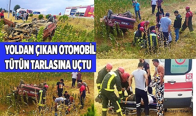 Yoldan çıkan otomobil tütün tarlasına uçtu