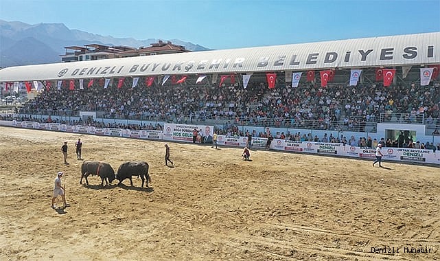 Denizli Büyükşehir Belediye Başkanlığı Kupası sahibini buldu
