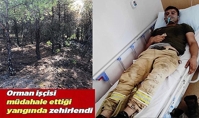Orman işçisi müdahale ettiği yangında zehirlendi