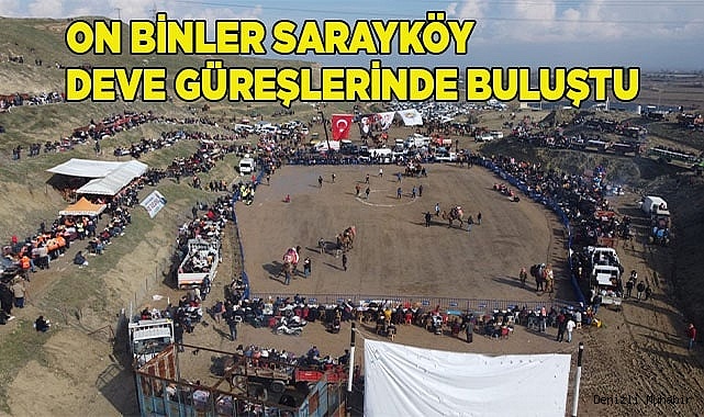 On binler Sarayköy deve güreşlerinde buluştu