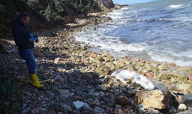 Didim Denizli Öğretmenler Sitesi sahilinde ceset bulundu