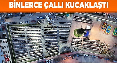 BİNLERCE ÇALLI KUCAKLAŞTI