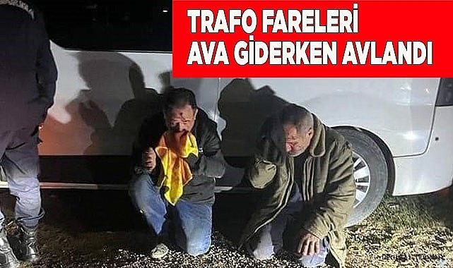 Trafo fareleri ava giderken avlandı