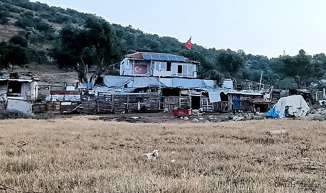 Çiftlik evinde korkunç cinayet