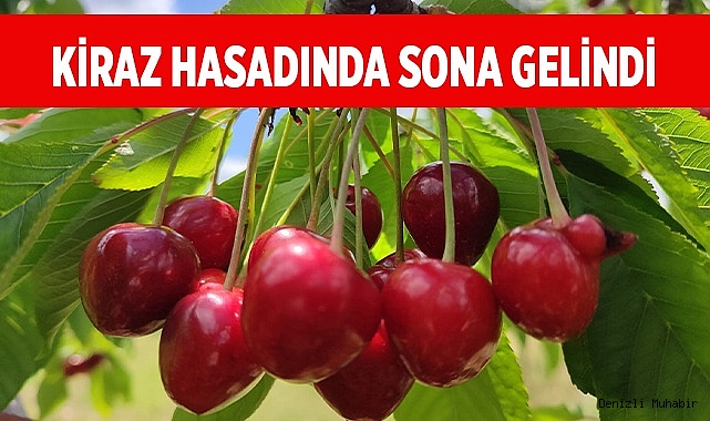 Kiraz hasadında sona gelindi