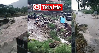 4 büyükbaş hayvan kayboldu, traktör sel sularına kapıldı