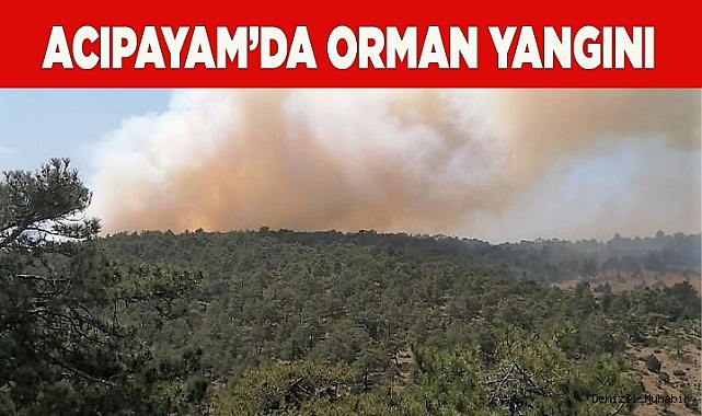 Acıpayam’da orman yangını