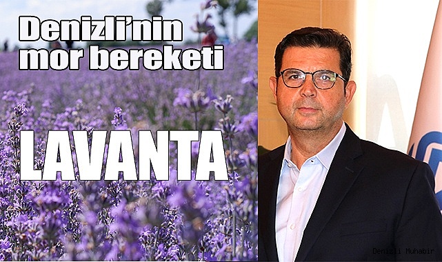 Denizli’de 8,5 ton lavanta tescil işlemi gerçekleşti