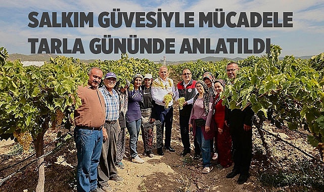 Salkım güvesiyle mücadele tarla gününde anlatıldı