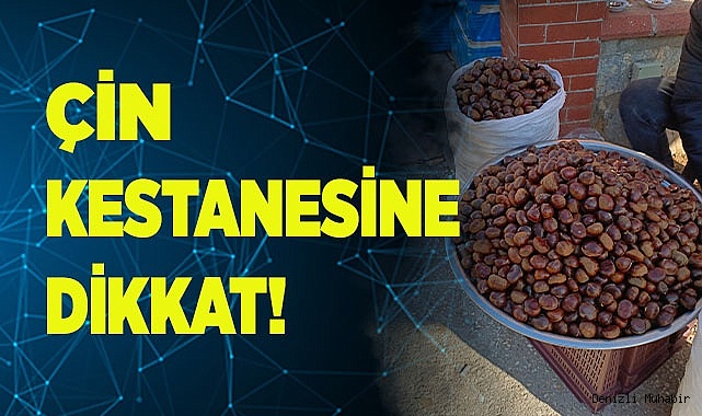 Çin kestanesine dikkat!