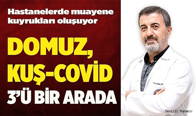 DOMUZ-KUŞ-COVİD ÜÇÜ BİR ARADA
