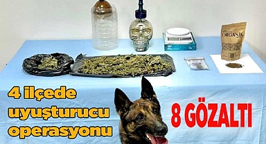 Jandarma 4 ilçede operasyon düzenledi: 8 gözaltı