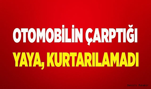 Otomobilin çarptığı yaya hayatını kaybetti