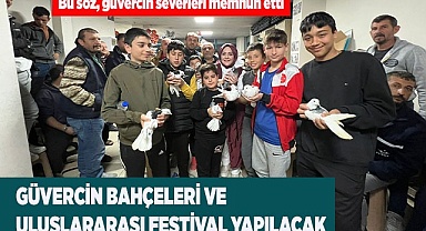 Güvercin Bahçeleri ve Uluslararası Festival yapılacak