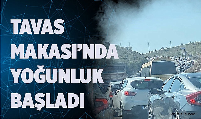 TAVAS MAKASI’NDA YOĞUNLUK BAŞLADI