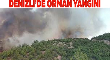 Denizli’de orman yangını