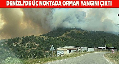 Denizli’de üç noktada orman yangını çıktı