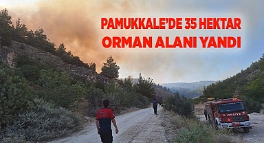 Pamukkale’de 35 hektar orman alanı yandı
