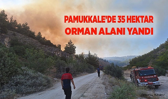 Pamukkale’de 35 hektar orman alanı yandı
