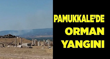 Pamukkale’de orman yangını