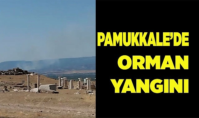 Pamukkale’de orman yangını