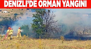 Denizli’de ormanlık alanda çıkan yangına müdahale ediliyor