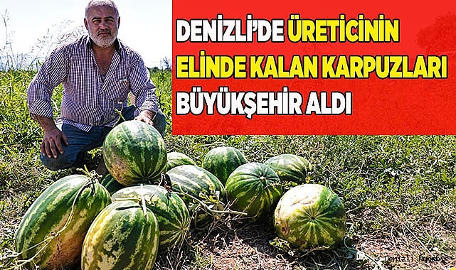 Denizli’de üreticinin elinde kalan karpuzları büyükşehir aldı