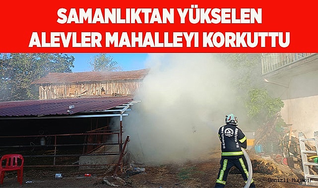 Samanlıktan yükselen alevler mahalleyi korkuttu