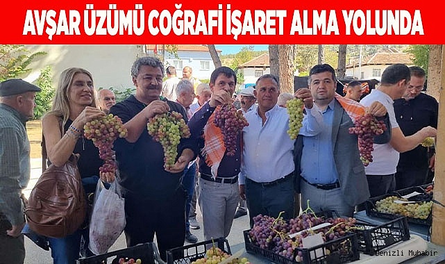 AVŞAR ÜZÜMÜ COĞRAFİ İŞARET ALMA YOLUNDA 