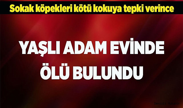 Yaşlı adam evinde ölü bulundu